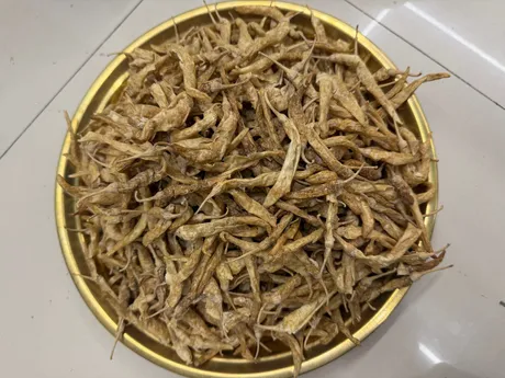 Oora Mirapakayalu